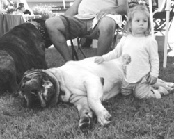 Wag N’ Walk coming to Old Town