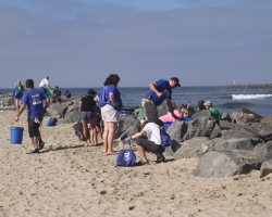 tn_beach_cleanup_pix_1