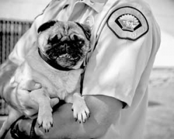 Crime Log: Animal control average response time: 22 minutes