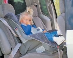 tn_girlcarseathc1004_x_th_c