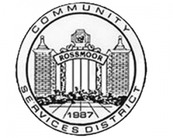 Rossmoor hires accountant to look at super city report