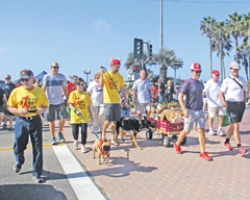 Wag n Walk is this weekend