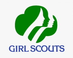 Los Al Girl Scouts donate  blankets
