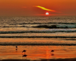 Sunset Beach seeks to become an independent city