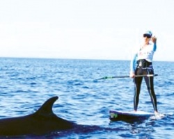 Larry the whale leads Jodi Nelson on a magical 40 plus mile fundraising excursion.