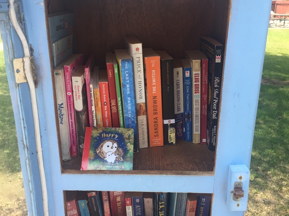 BooksGIRLscoutW