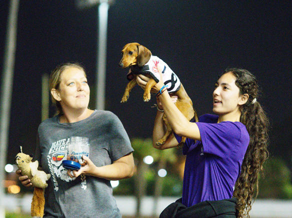 25th Wienerschnitzel Wiener Nationals Final - Paisley is the 2022 winner2w