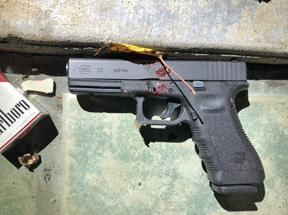 FirearmWEB