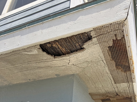 Lifeguard HQ: A look