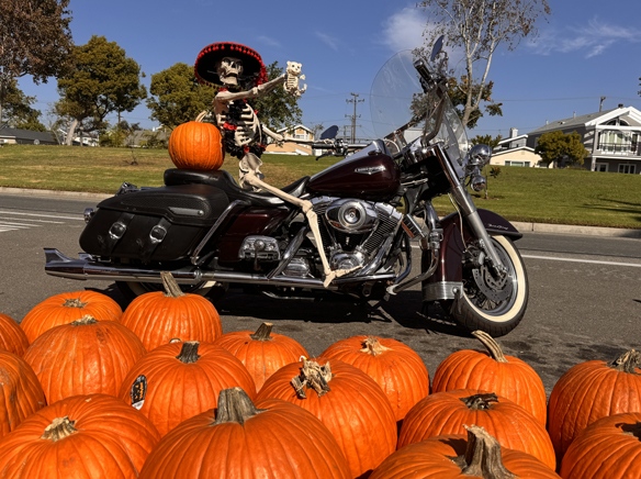 Seal Beach Pumpkin Palooza Halloween Bash