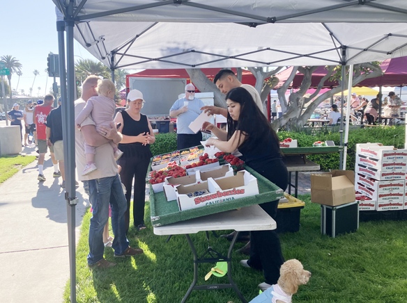 Weekly Farmers Market begins