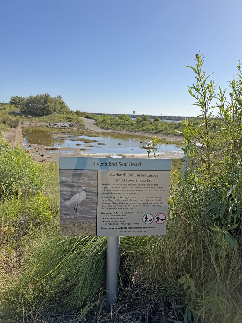 Explaining the unique mixture of fresh river water and salty ocean water found where the San Gabriel River reaches the sea.