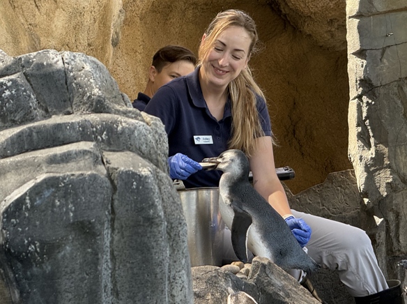 “A star is born,” at least in Aquarium of the Pacific terms