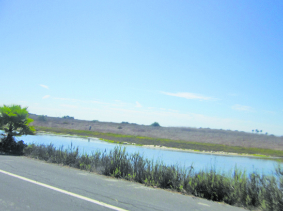Story behind Mystery Pond at Bolsa Chica Wetlands